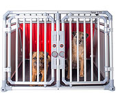 4pets PRO dog cage, size 22. M/L