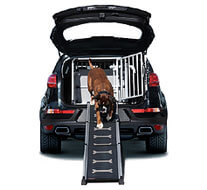 crash tested dog cage