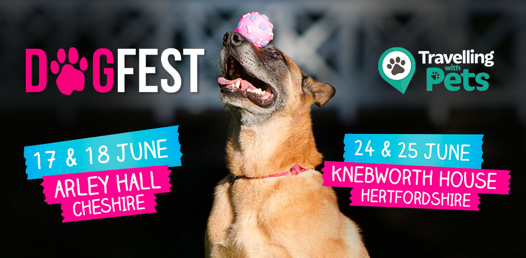 Dog Fest 2017, 17th & 18th June Arley Hall Cheshire, 24th & 25th June Knebworth House Hertfordshire