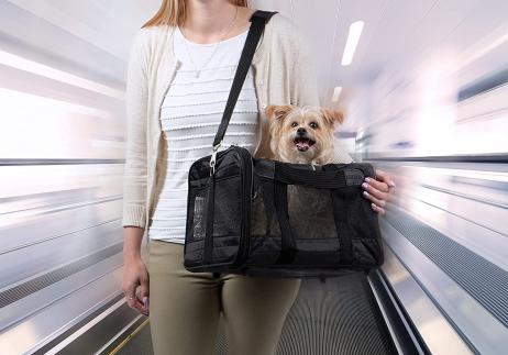 Genluxe Pet Carrier Brown